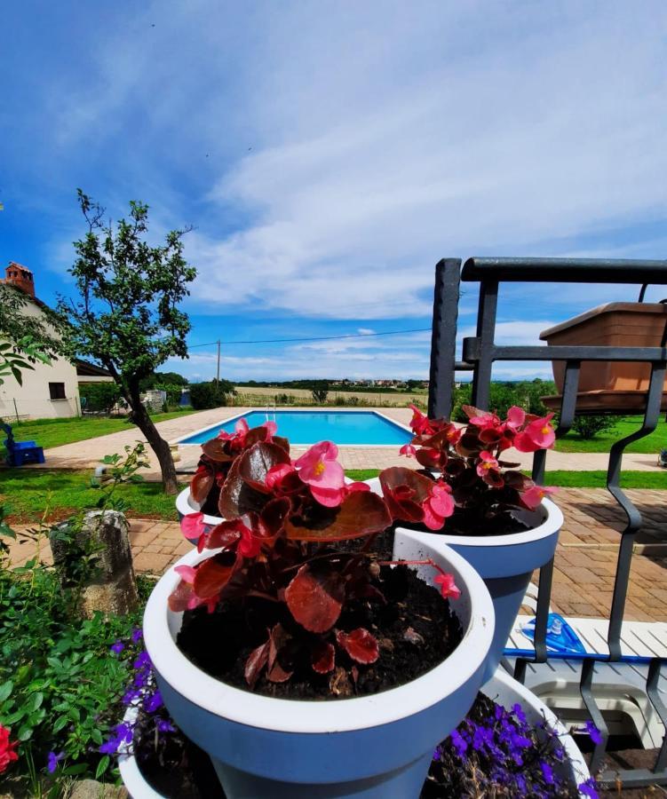 Holiday House Sweet Home Umag Kültér fotó